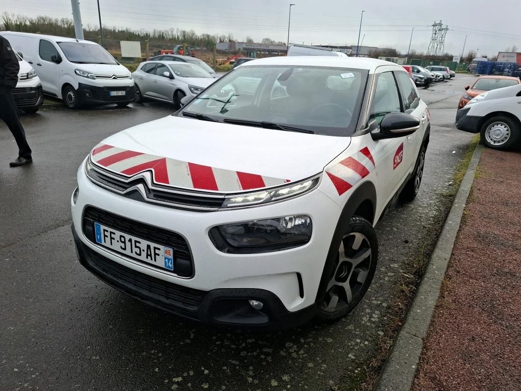 C4 CACTUS