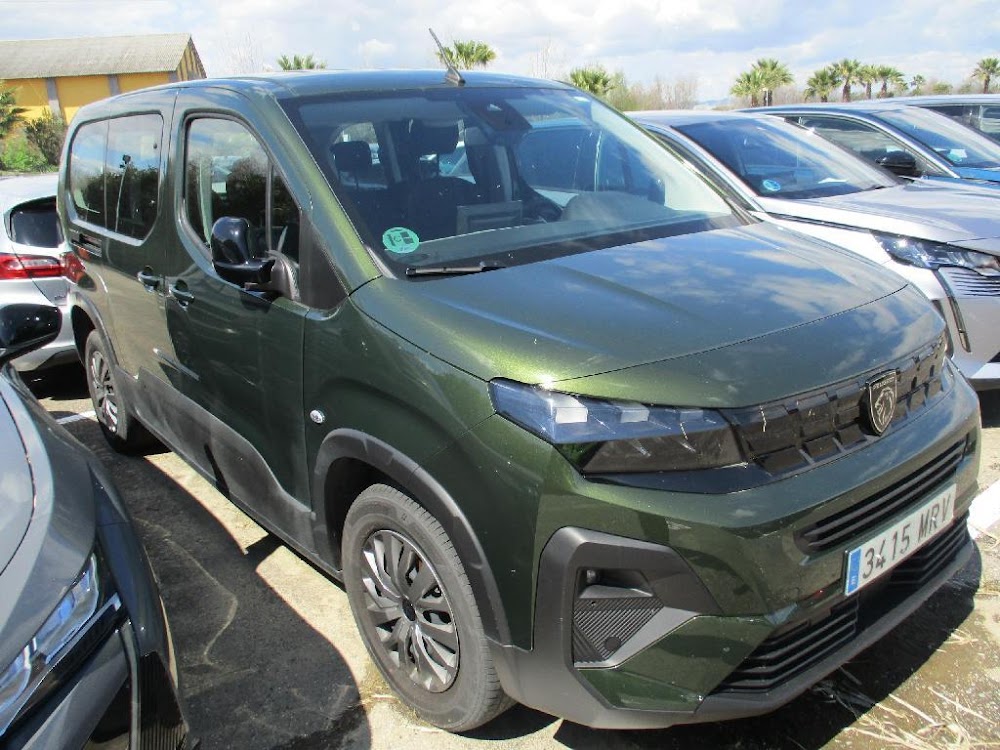 Foto Peugeot Rifter 9