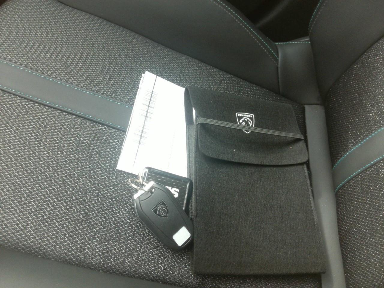 Foto Peugeot 308 9