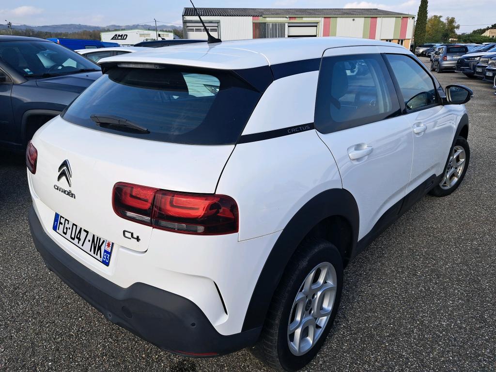 Citroen C4 Cactus BlueHDi 100 S&S BVM6 Feel Business 2019