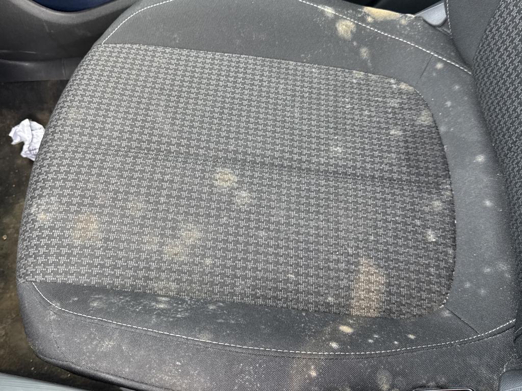 Peugeot 308 BlueHDi 130ch S&S EAT8 Active Business 2019