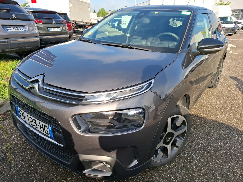 C4 CACTUS