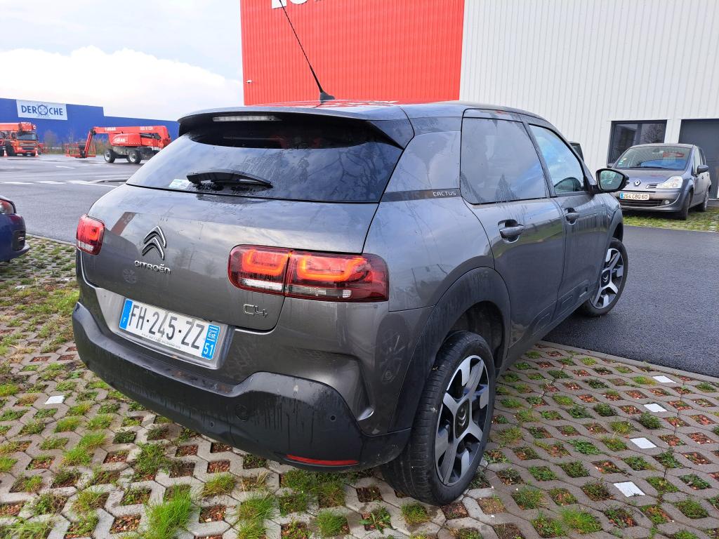 Citroen C4 Cactus BlueHDi 100 S&S BVM6 Shine Business 2019