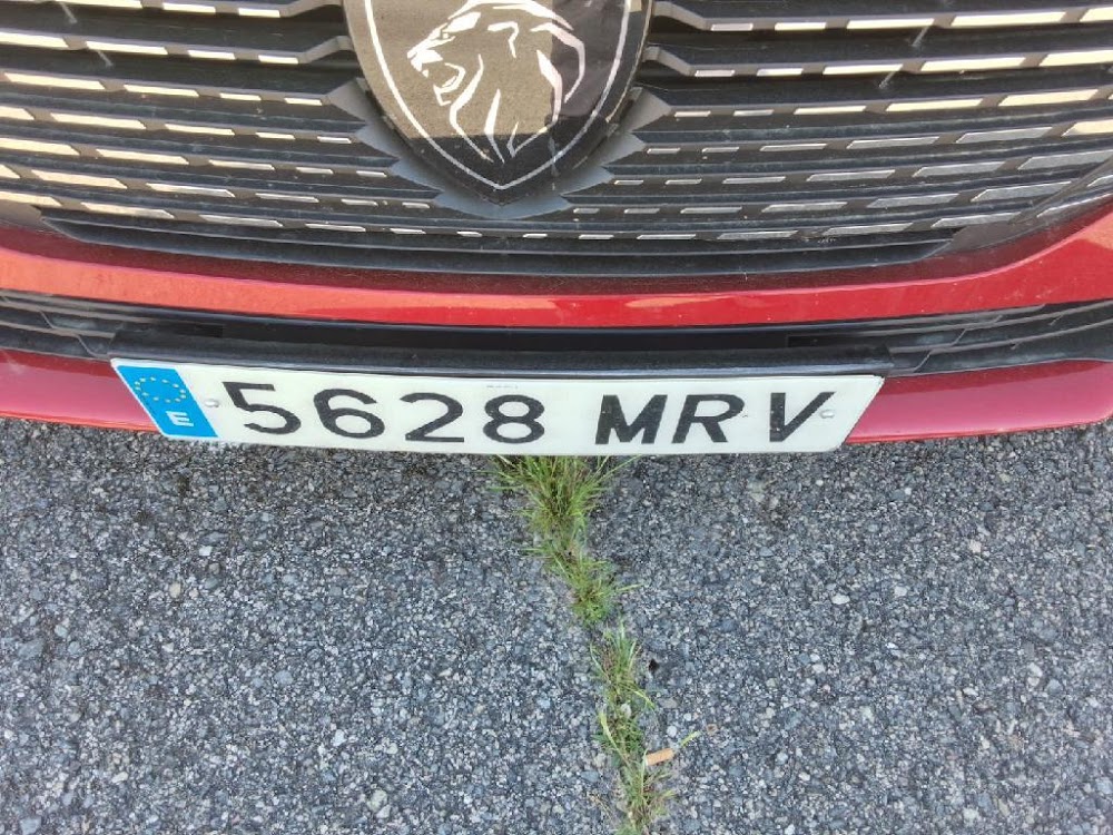 Foto Peugeot 308 2