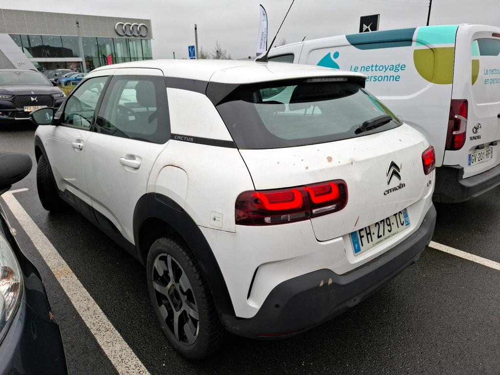 Citroen C4 Cactus PureTech 110 S&S BVM6 Feel 2019