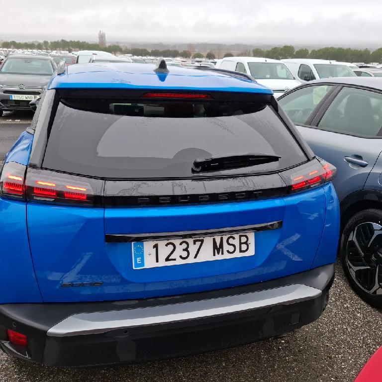 Foto Peugeot 2008 8