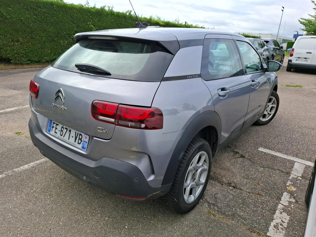 Citroen C4 Cactus BlueHDi 120 S&S EAT6 Feel Business 2019