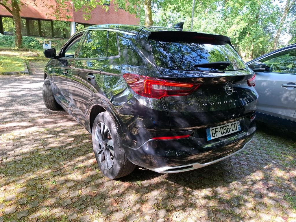 Opel Grandland 1.5 Diesel 130 ch BVA8 Elegance Business 2022