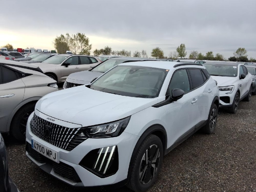 Foto Peugeot 2008 10