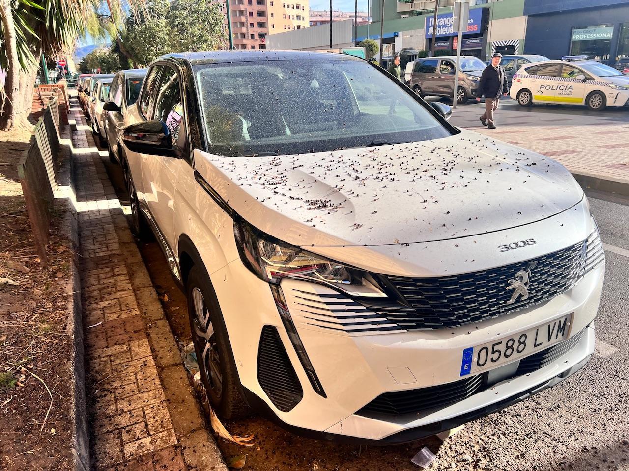 Foto Peugeot 3008 8