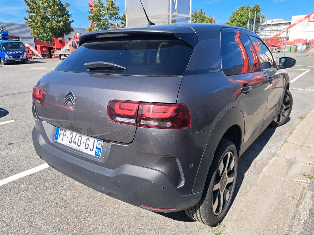 Citroen C4 Cactus BlueHDi 100 S&S BVM6 Shine Business 2020