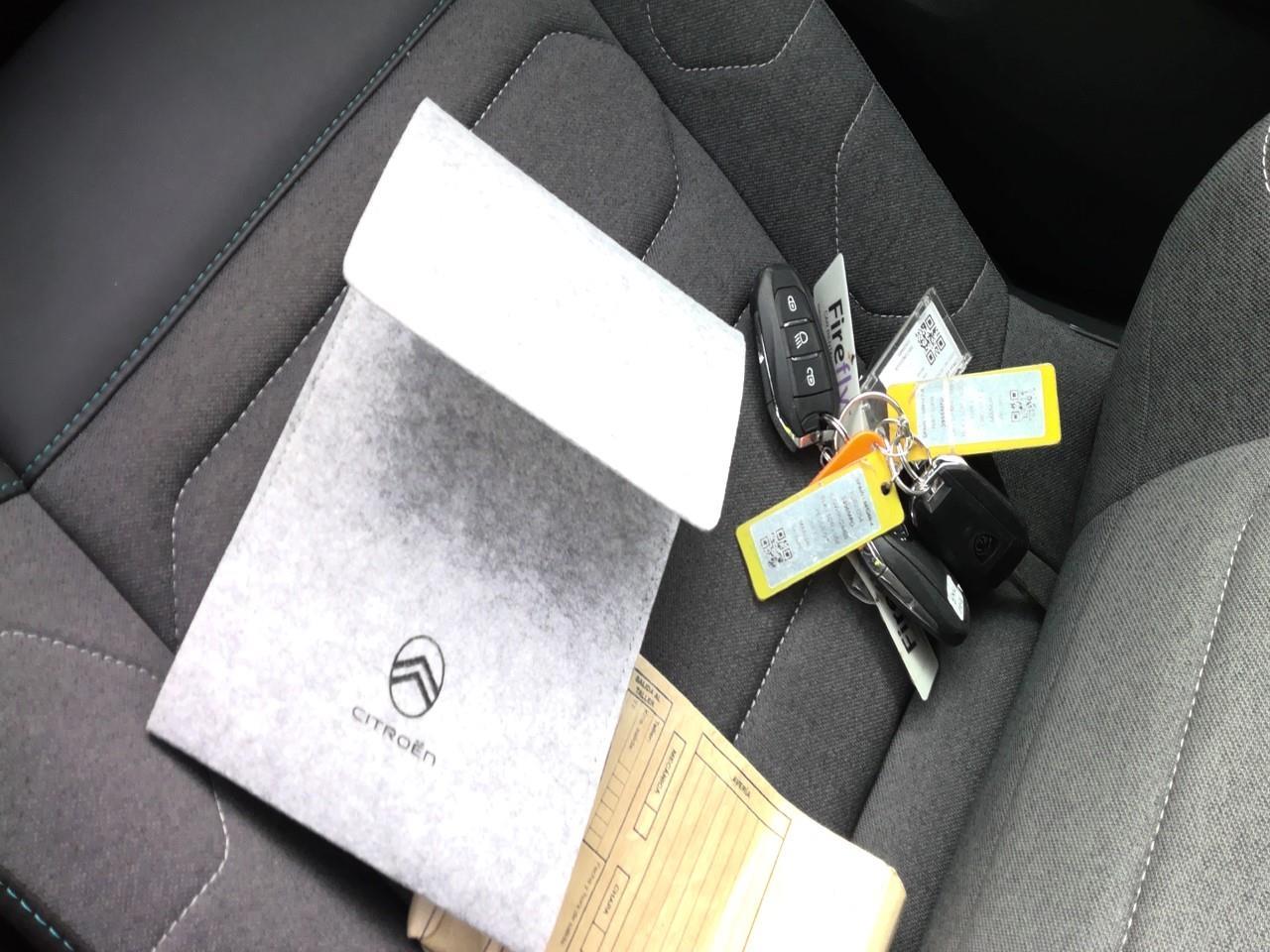 Foto Citroën C4 X 20