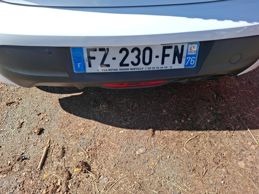 Peugeot 208 BlueHDi 100 S&S BVM6 Active Business 2021