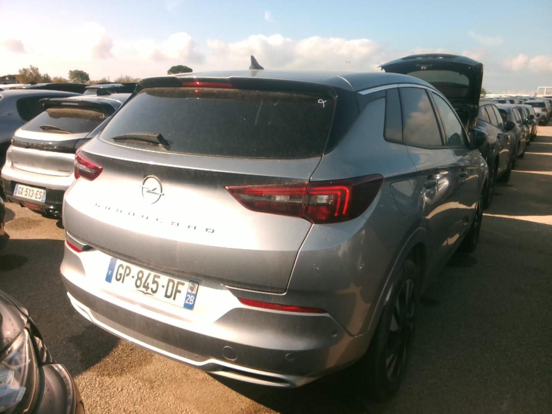 Opel Grandland 1.5 Diesel 130 ch BVA8 Elegance Business 2023