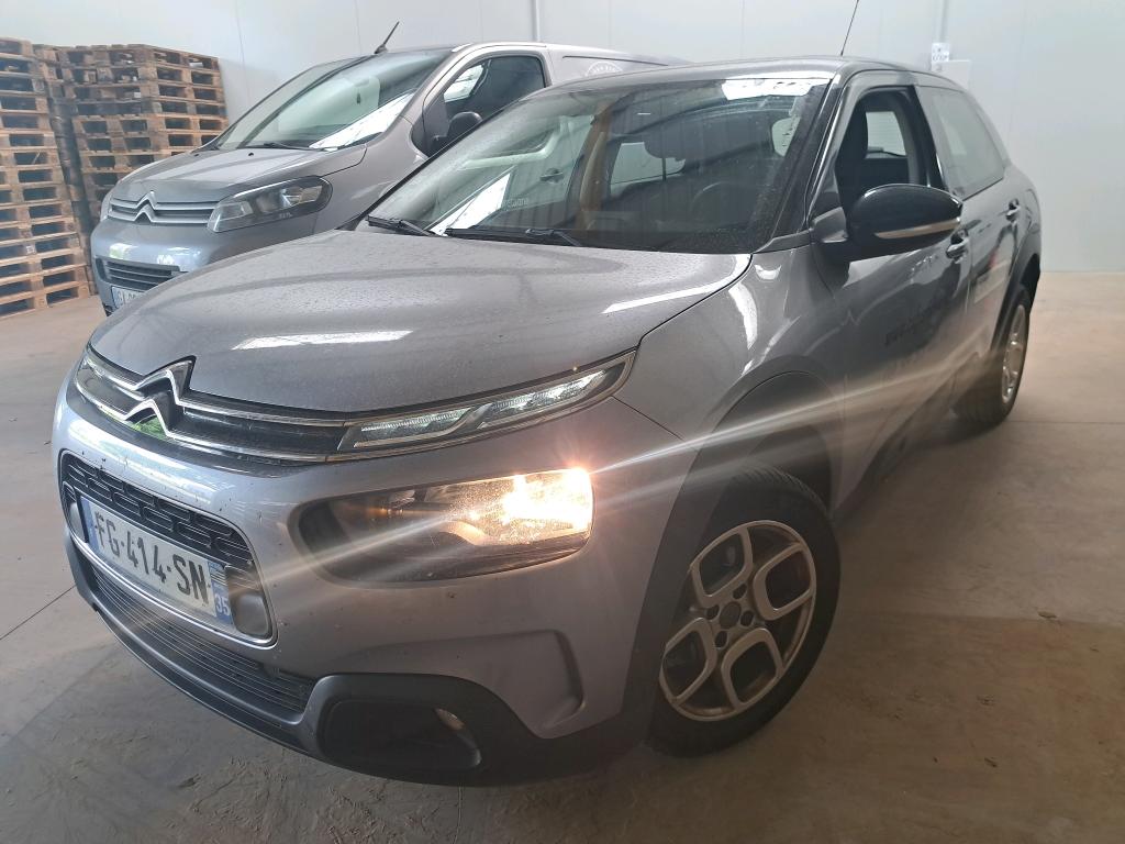 C4 CACTUS