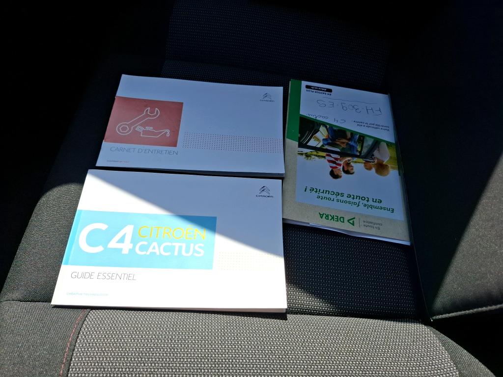Citroen C4 Cactus BlueHDi 100 S&S BVM6 Feel 2019