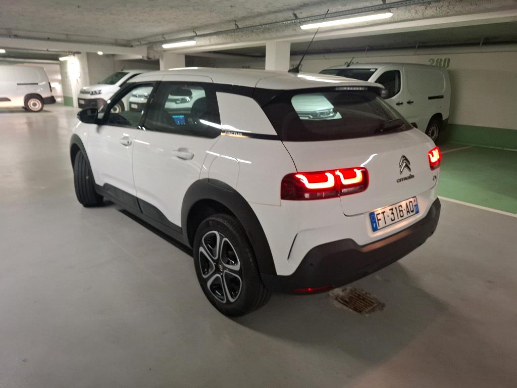 Citroen C4 CACTUS SOCIETE BLUEHDI 120 S&S EAT6 FEEL NAV 2020