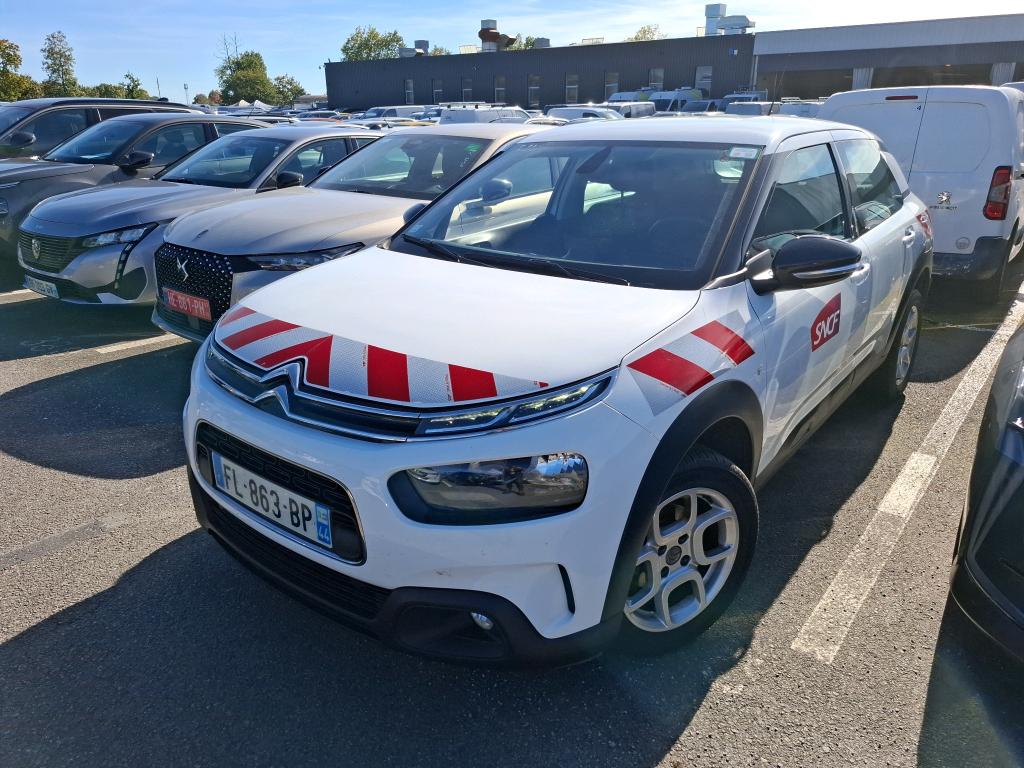 C4 CACTUS