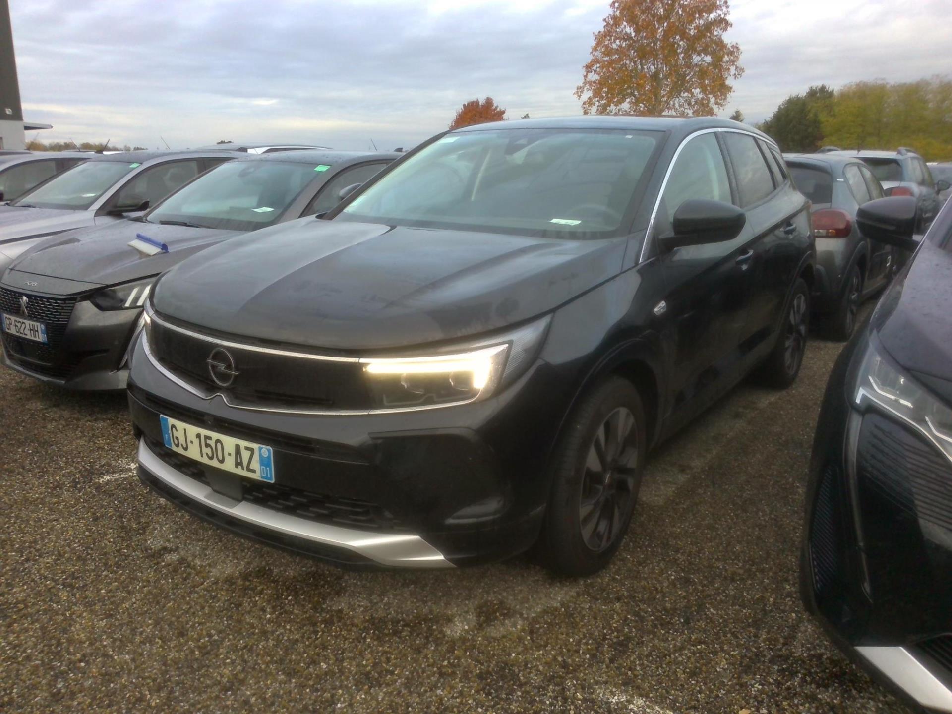 Opel Grandland 1.5 Diesel 130 ch BVA8 Elegance Business 2022