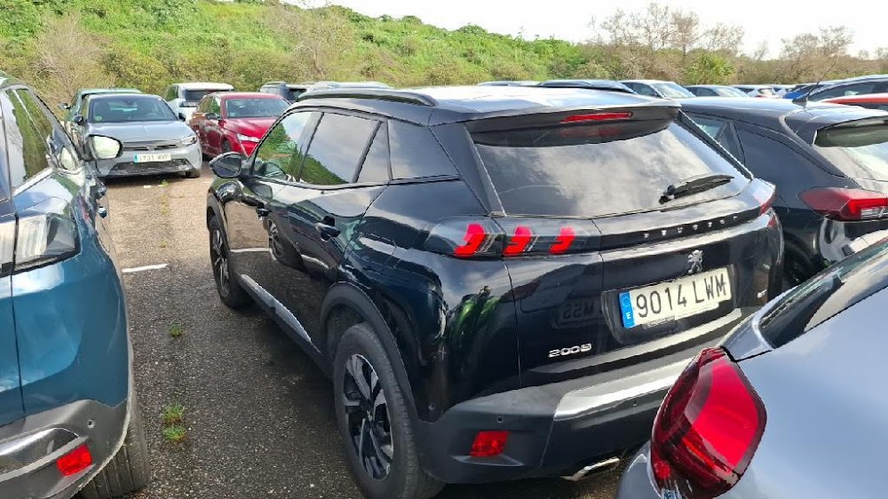Foto Peugeot 2008 4