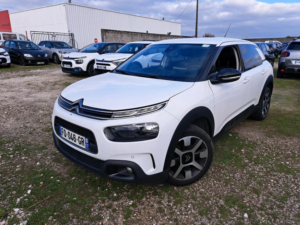 C4 CACTUS