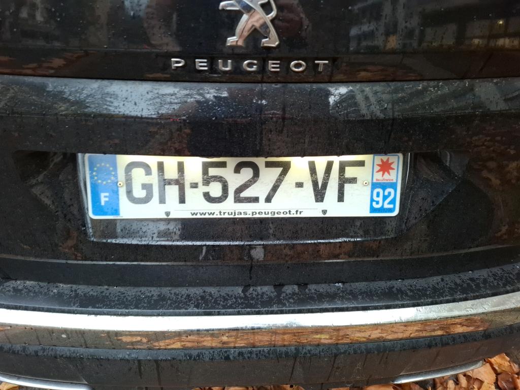 Peugeot NV 3008 SUV 