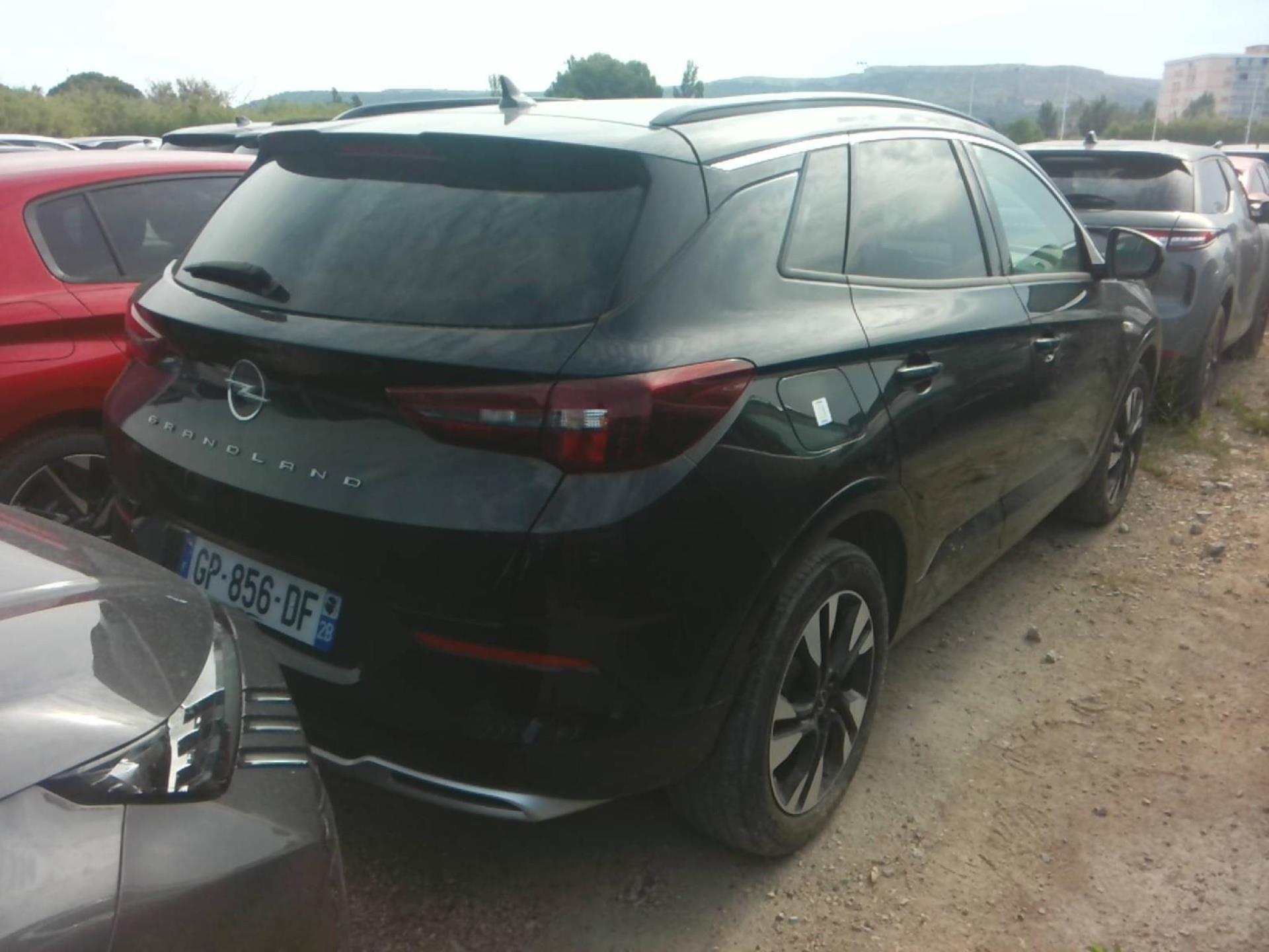 Opel Grandland 1.5 Diesel 130 ch BVA8 Elegance Business 2023