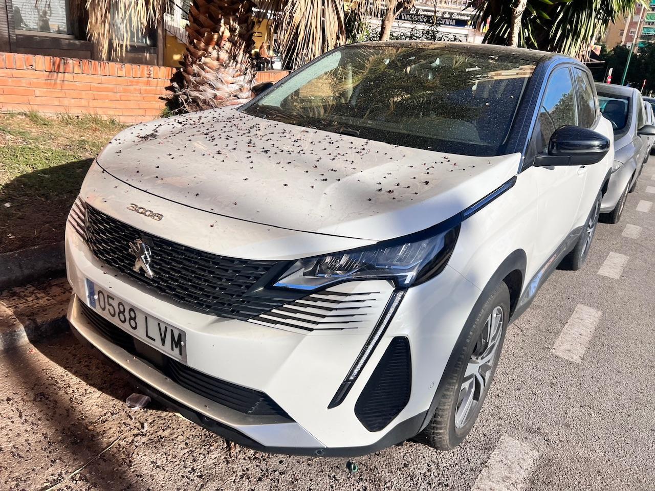 Foto Peugeot 3008 9