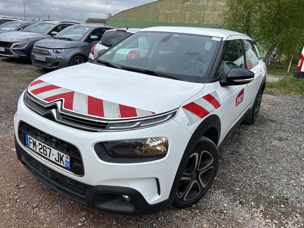 C4 CACTUS
