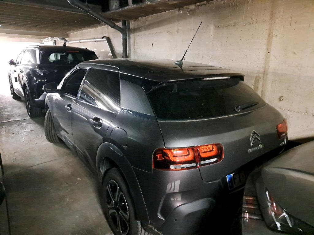 Citroen C4 Cactus PureTech 110 S&S BVM6 Feel Business 2020