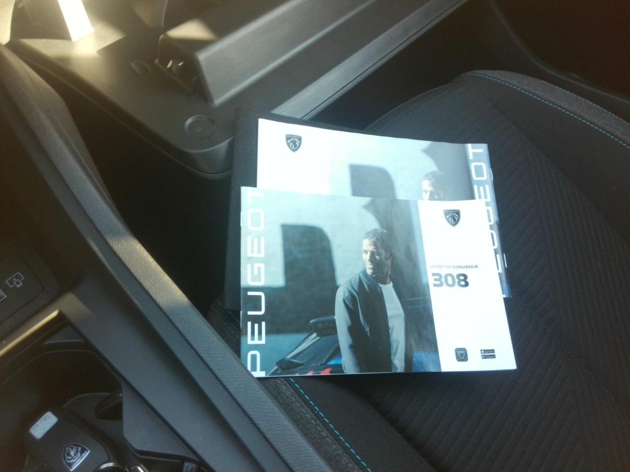 Foto Peugeot 308 15