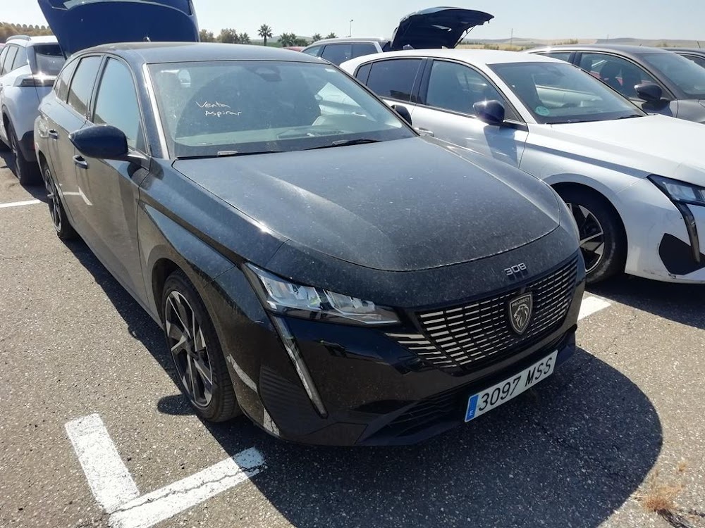 Foto Peugeot 308 7