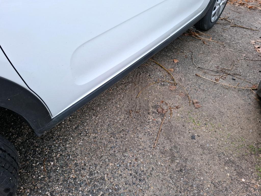 Citroen C3 PureTech 83 ch BVM5 You 2023