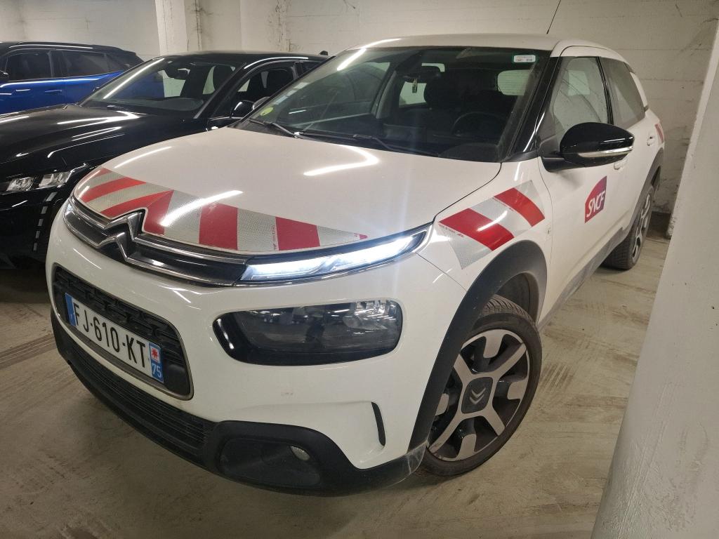 C4 CACTUS