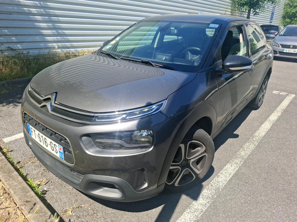 C4 CACTUS