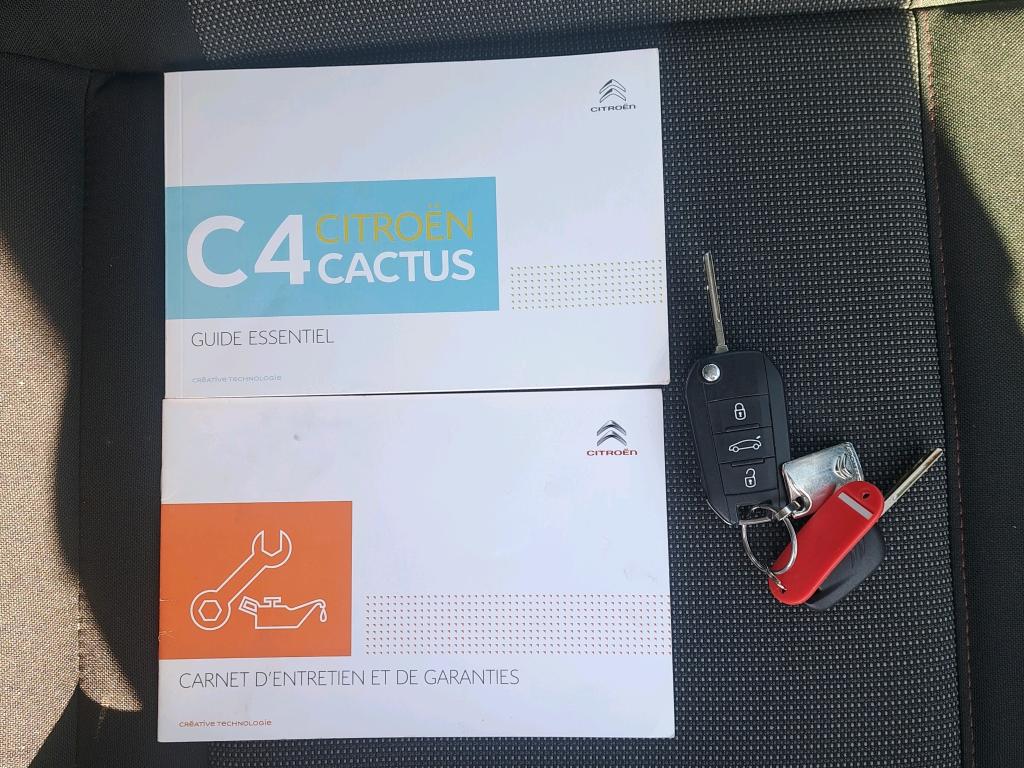 Citroen C4 Cactus BlueHDi 100 S&S BVM6 Feel Business 2019