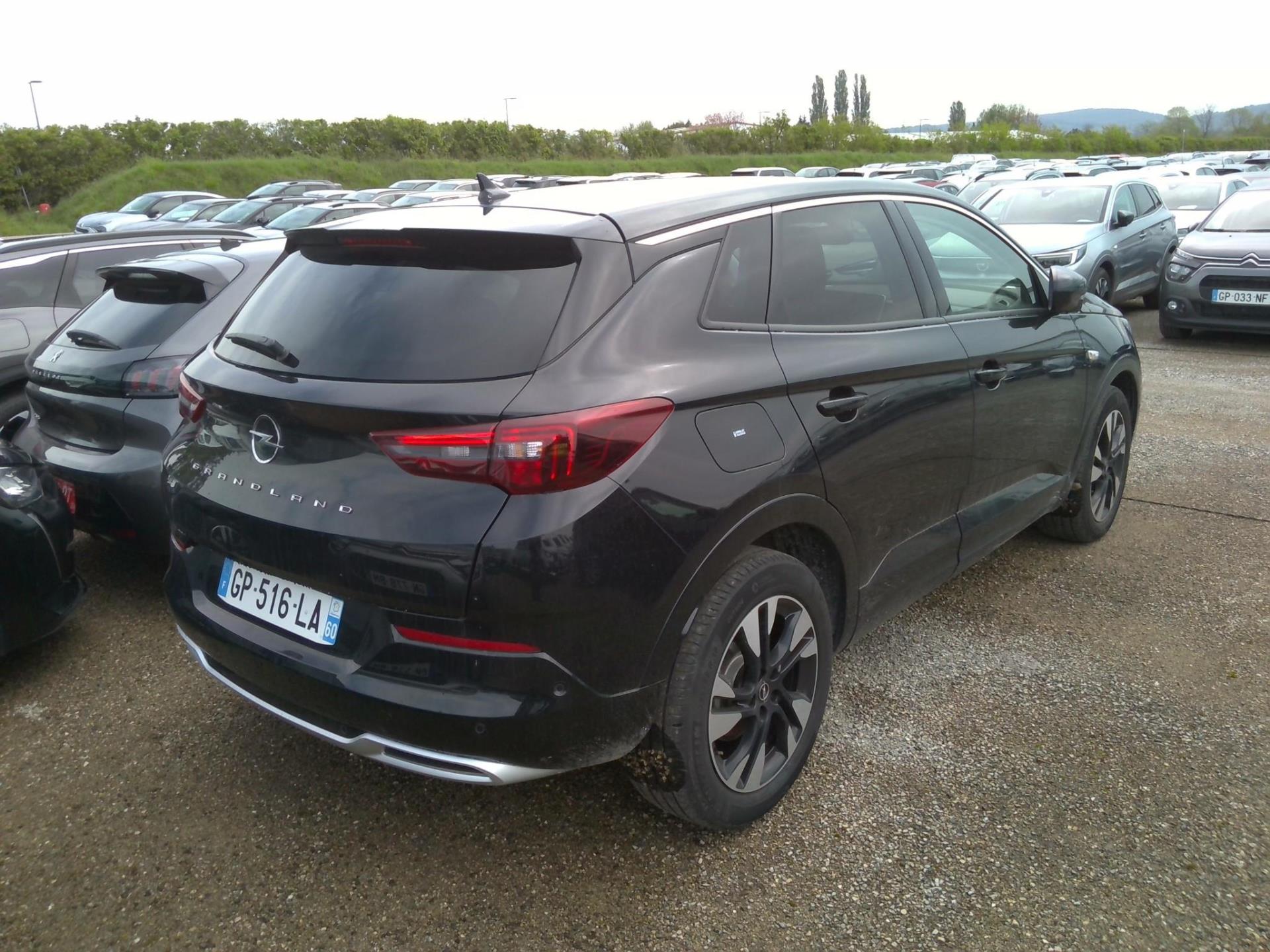 Opel Grandland 1.5 Diesel 130 ch BVA8 Elegance Business 2023