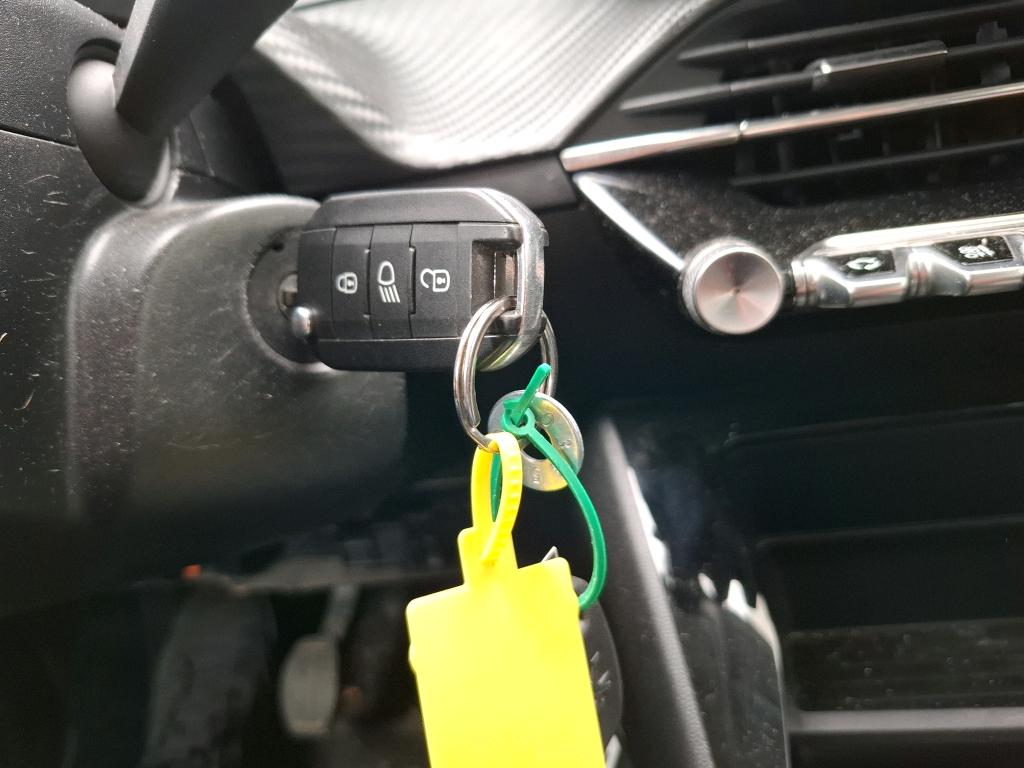 Peugeot 208 BlueHDi 100 S&S BVM6 Active 2021