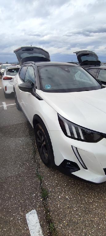 Foto Peugeot 3008 4