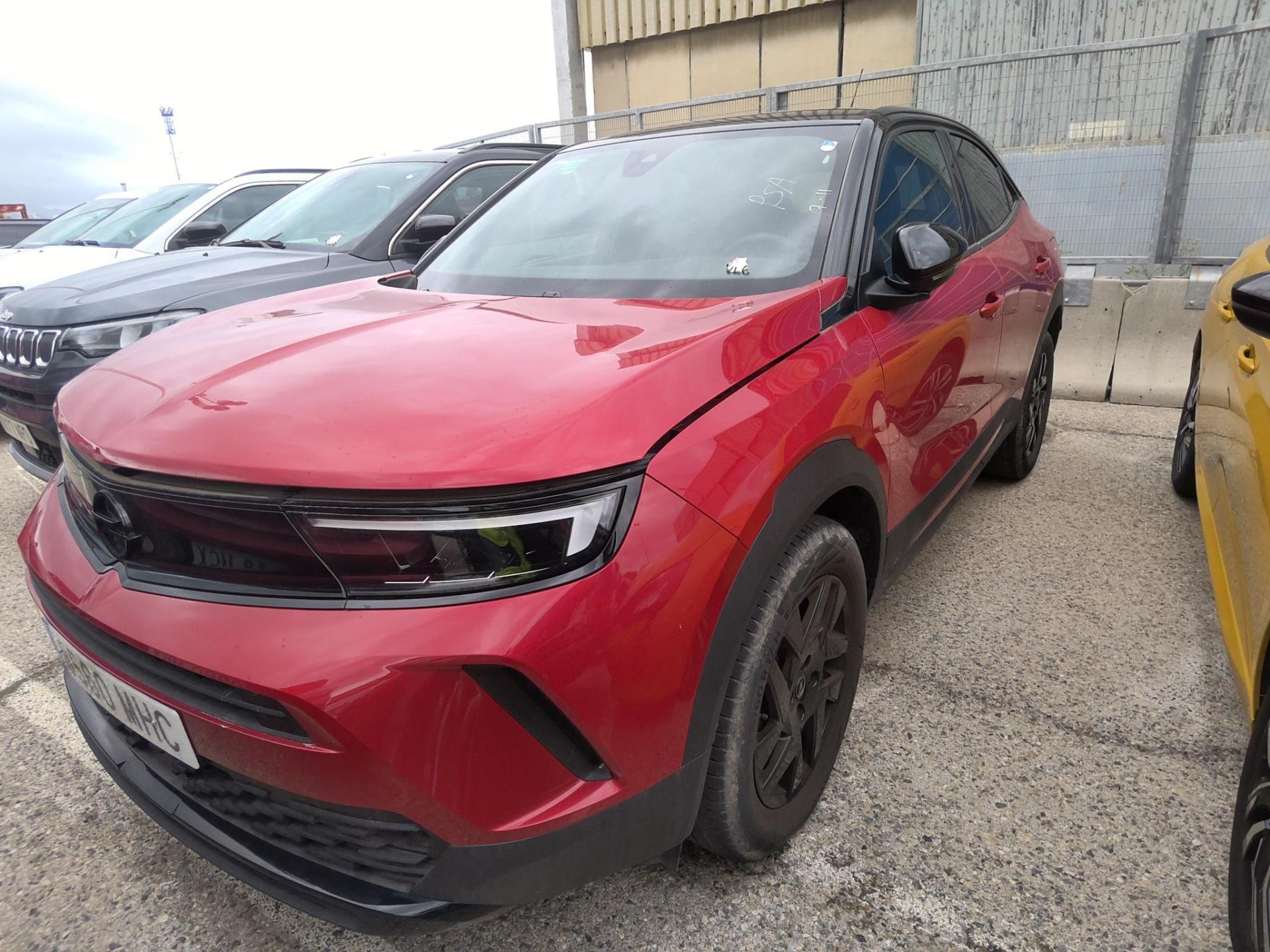 MOKKA B
