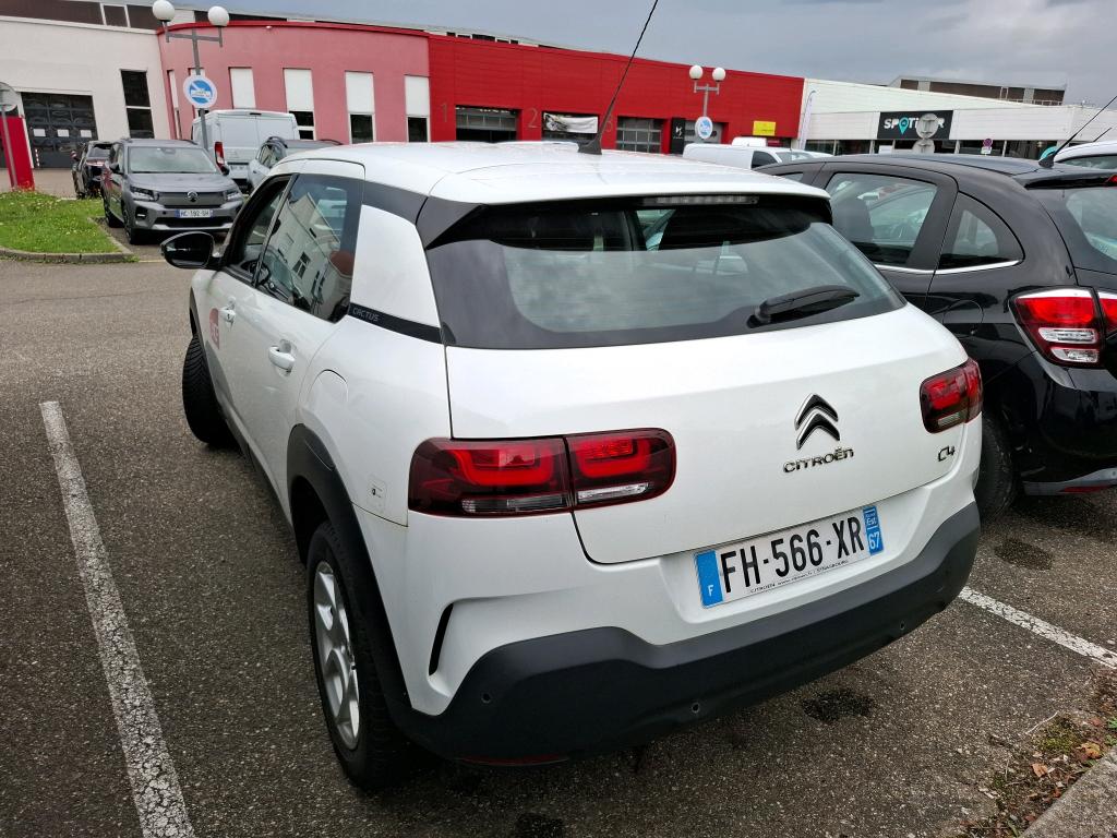 Citroen C4 Cactus BlueHDi 100 S&S BVM6 Feel 2019