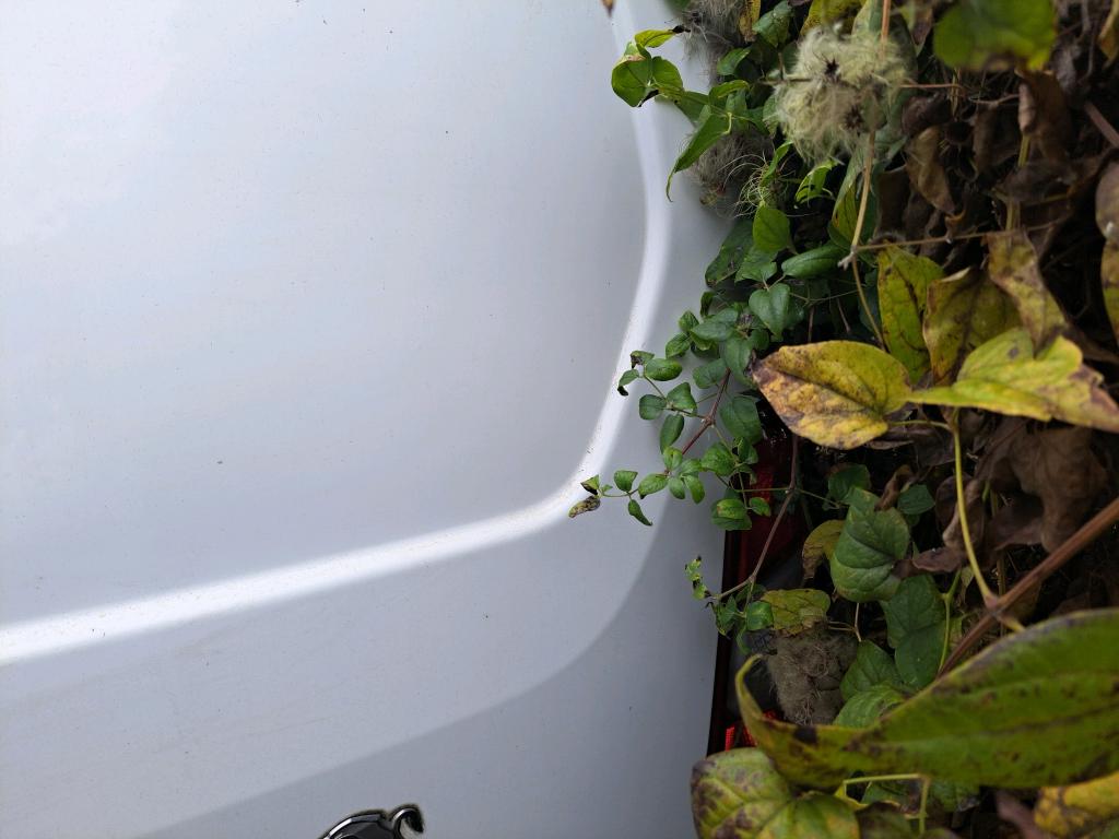 Peugeot PARTNER FOURGON STANDARD 650 KG BLUEHDI 100 S&S BVM5 PREMIUM 2019