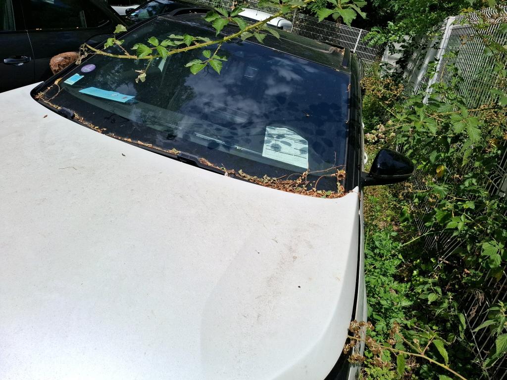 NV 3008 SUV