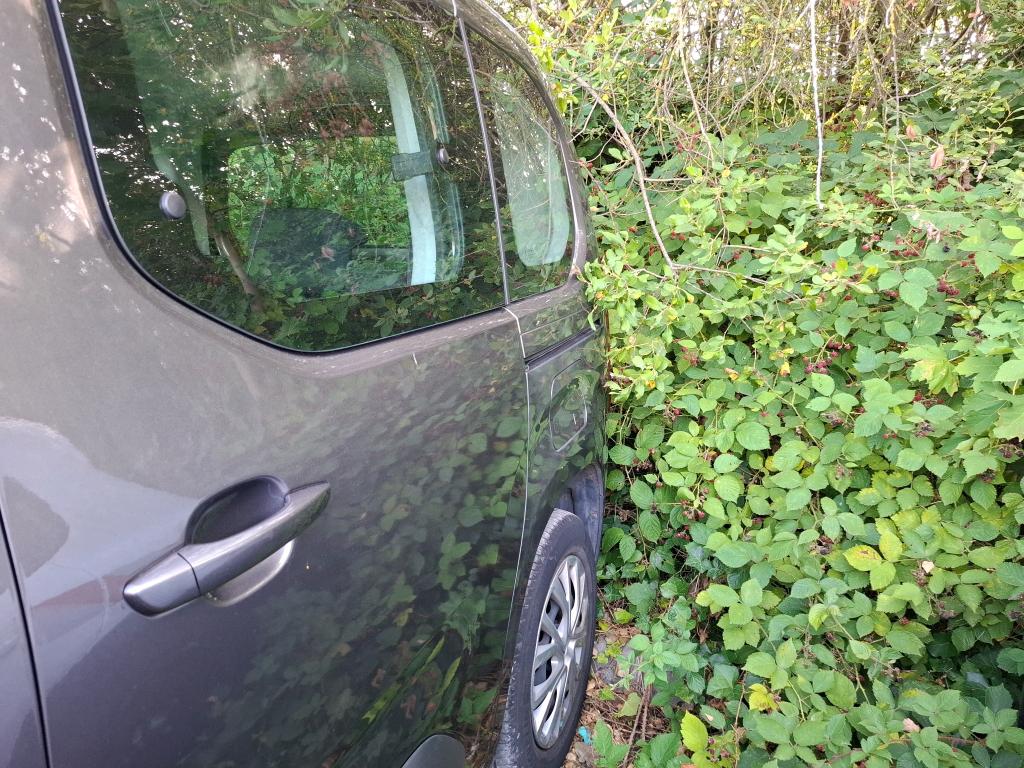Citroen Berlingo Taille M BlueHDi 100 S&S BVM6 Feel 2021