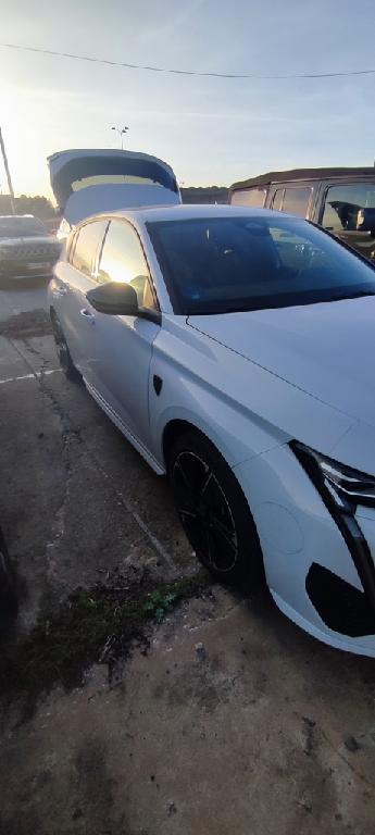 Foto Peugeot E-308 3