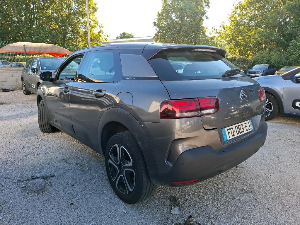 Citroen C4 Cactus BlueHDi 100 S&S BVM6 Feel Business 2020