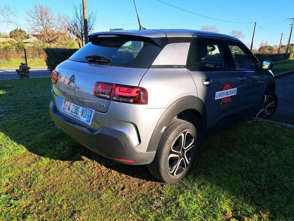 Citroen C4 CACTUS SOCIETE BLUEHDI 100 S&S BVM6 FEEL NAV 2020