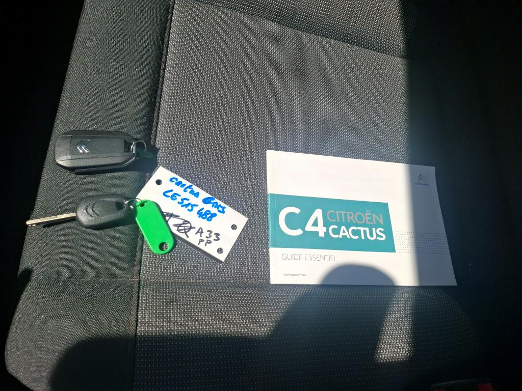 Citroen C4 CACTUS SOCIETE BLUEHDI 120 S&S EAT6 FEEL NAV 2020