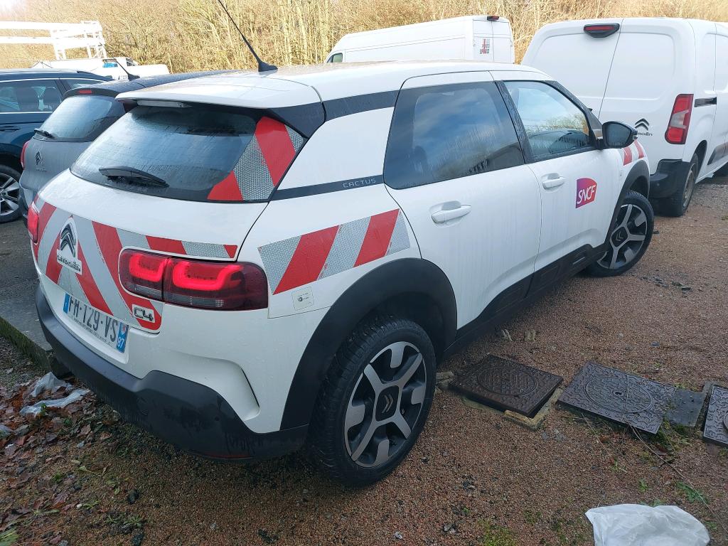 Citroen C4 Cactus BlueHDi 100 S&S BVM6 Feel 2019